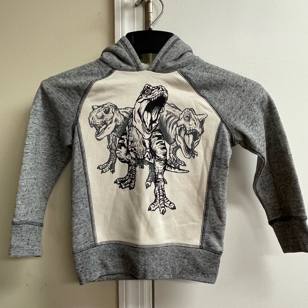 Kids Sonoma fleece Dinosaur hoodie size 4t